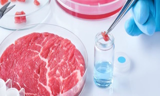 Лабораторный анализ пищевых продуктов по СанПиН в Находке в октябре
