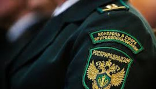 Подготовка к проверке Росприроднадзора в Находке от ПромМир-Нхд, стоимость услуги от 20630 руб.